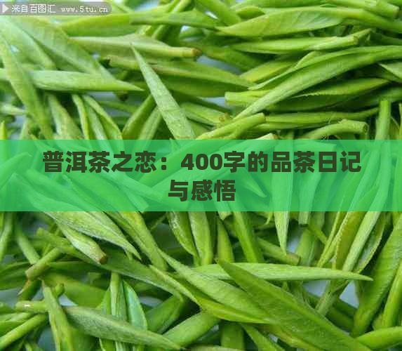 普洱茶之恋：400字的品茶日记与感悟