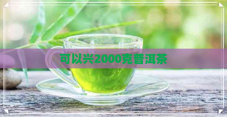 可以兴2000克普洱茶