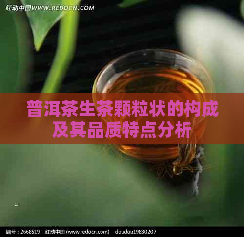 普洱茶生茶颗粒状的构成及其品质特点分析