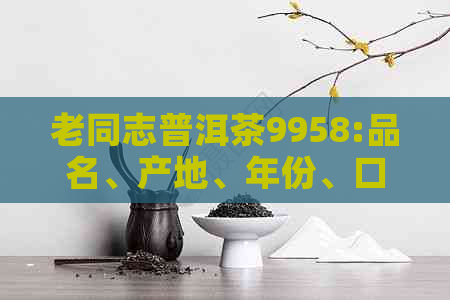 老同志普洱茶9958:品名、产地、年份、口感、功效及购买指南一应俱全