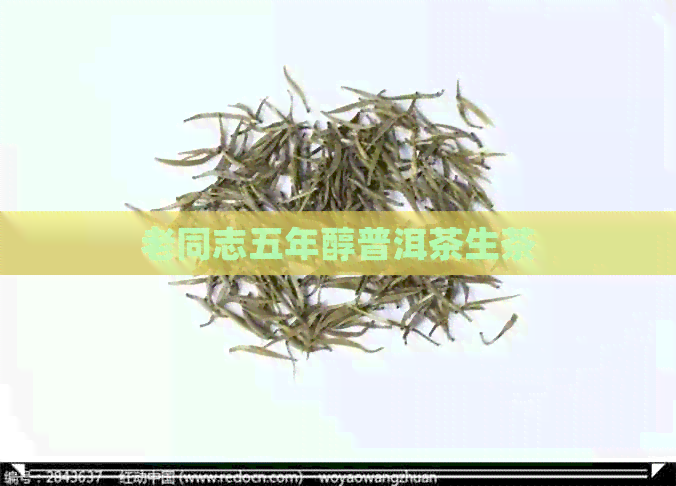 老同志五年醇普洱茶生茶