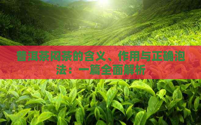 普洱茶闷茶的含义、作用与正确泡法：一篇全面解析