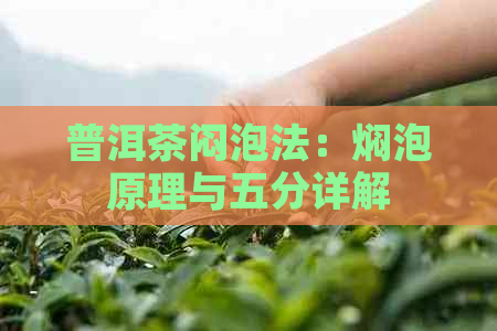 普洱茶闷泡法：焖泡原理与五分详解