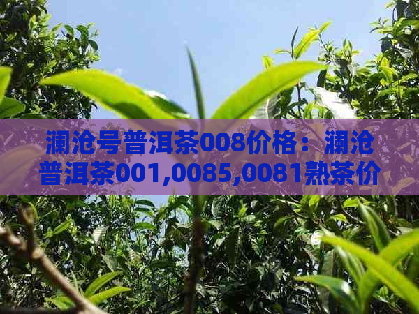 澜沧号普洱茶008价格：澜沧普洱茶001,0085,0081熟茶价格表与评价