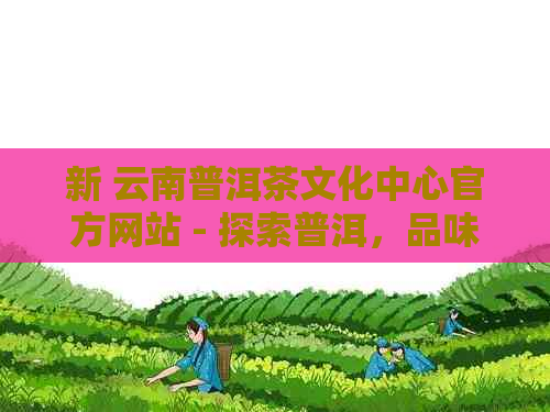 新 云南普洱茶文化中心官方网站 - 探索普洱，品味生活