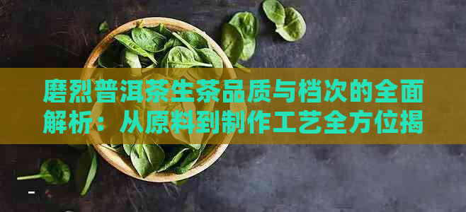 磨烈普洱茶生茶品质与档次的全面解析：从原料到制作工艺全方位揭秘