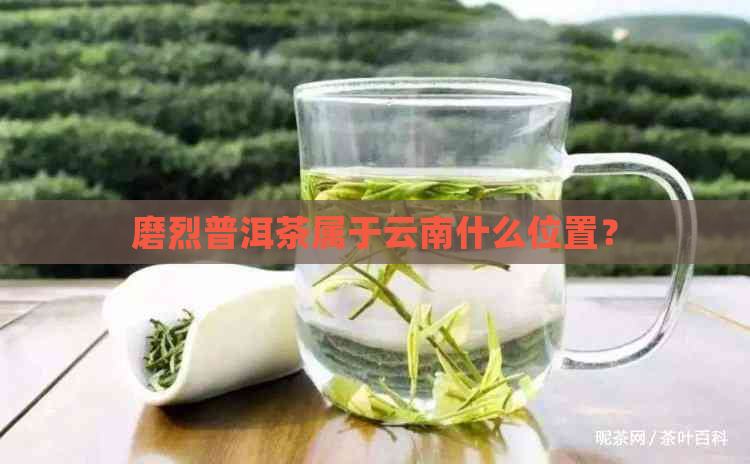 磨烈普洱茶属于云南什么位置？