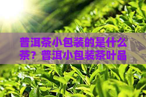 普洱茶小包装的是什么茶？普洱小包装茶叶品质如何？