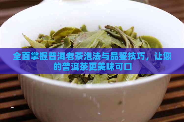 全面掌握普洱老茶泡法与品鉴技巧，让您的普洱茶更美味可口