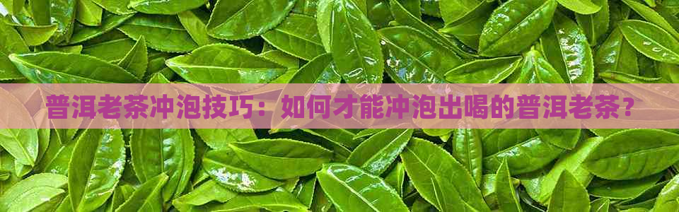 普洱老茶冲泡技巧：如何才能冲泡出喝的普洱老茶？