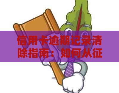 信用卡逾期记录清除指南：如何从报告中彻底消除不良信用记录