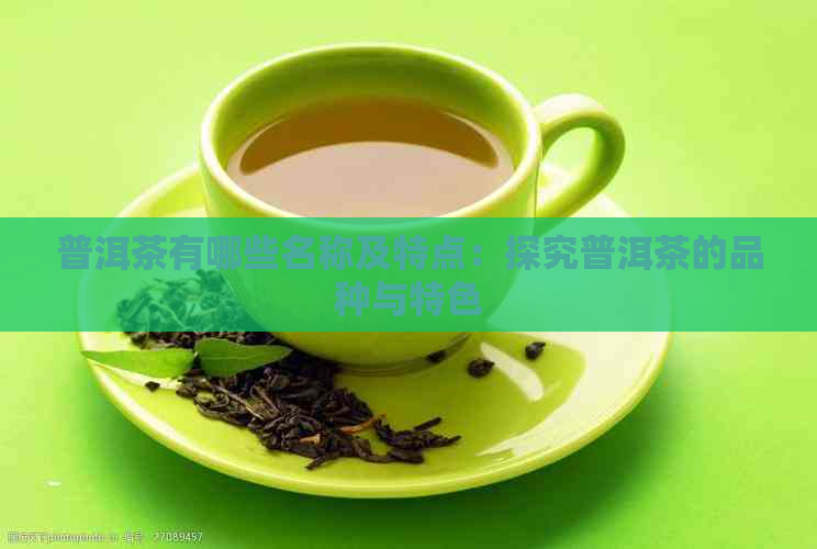 普洱茶有哪些名称及特点：探究普洱茶的品种与特色