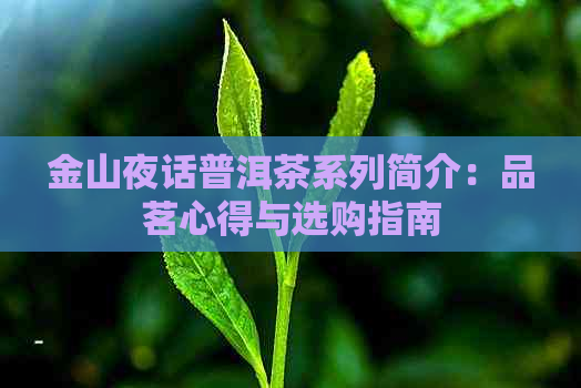 金山夜话普洱茶系列简介：品茗心得与选购指南