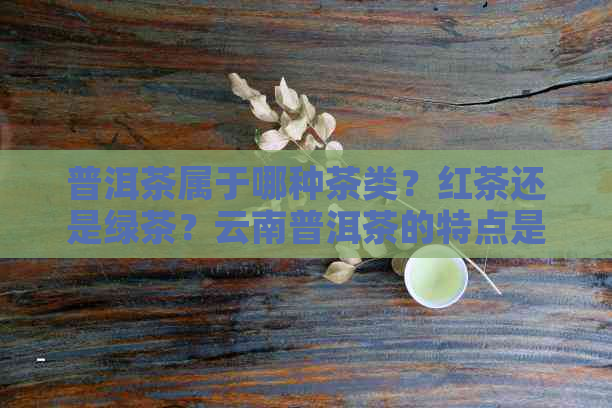 普洱茶属于哪种茶类？红茶还是绿茶？云南普洱茶的特点是什么呢？