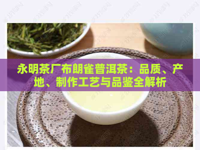 永明茶厂布朗雀普洱茶：品质、产地、制作工艺与品鉴全解析