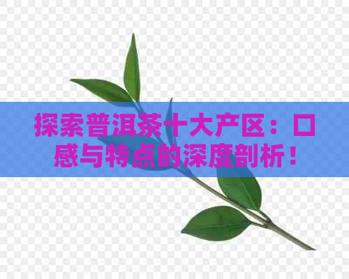 探索普洱茶十大产区：口感与特点的深度剖析！