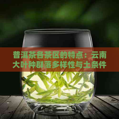 普洱茶各茶区的特点：云南大叶种群落多样性与土条件的关系研究