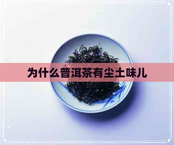 为什么普洱茶有尘土味儿