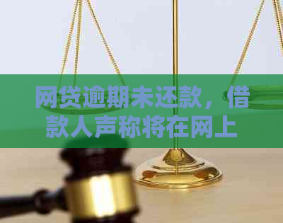 网贷逾期未还款，借款人声称将在网上逃避责任