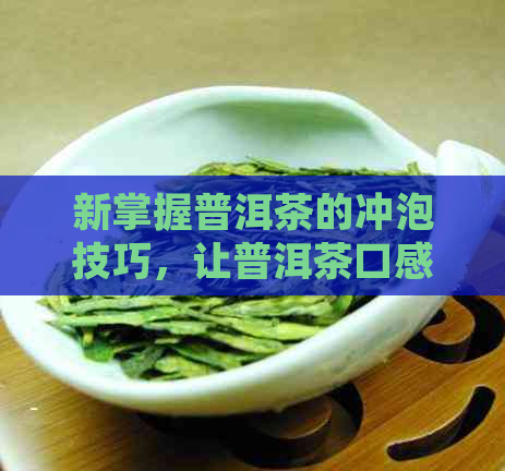 新掌握普洱茶的冲泡技巧，让普洱茶口感更出众