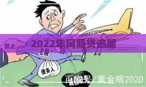 2022年网商贷逾期