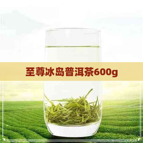 至尊冰岛普洱茶600g