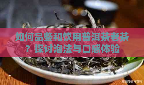 如何品鉴和饮用普洱茶老茶？探讨泡法与口感体验