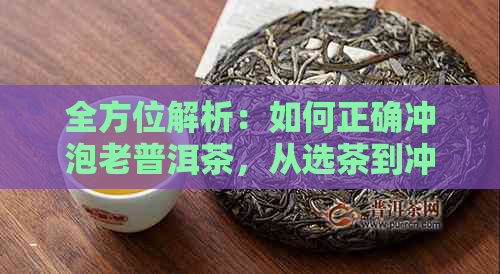 全方位解析：如何正确冲泡老普洱茶，从选茶到冲泡的详细步骤