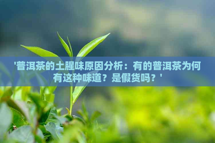 '普洱茶的土腥味原因分析：有的普洱茶为何有这种味道？是假货吗？'