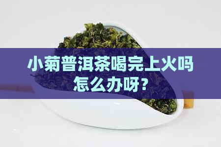 小菊普洱茶喝完上火吗怎么办呀？