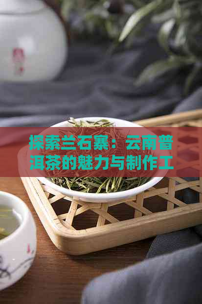 探索兰石寨：云南普洱茶的魅力与制作工艺，品尝云茶之邦的独特风味