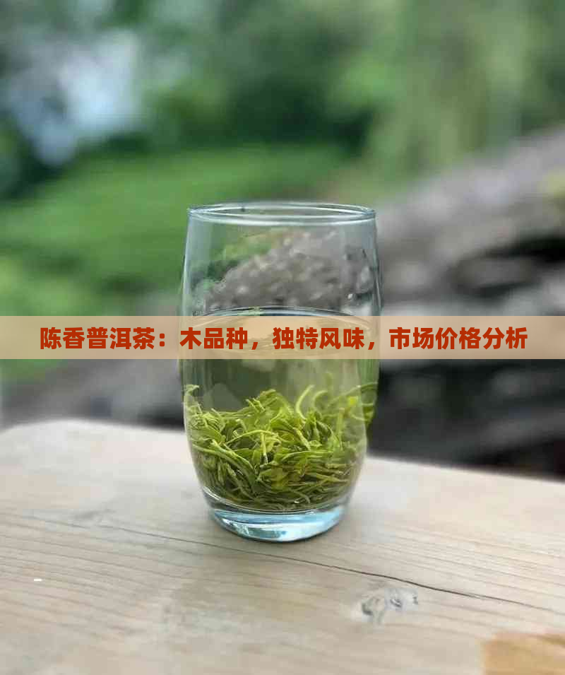 陈香普洱茶：木品种，独特风味，市场价格分析