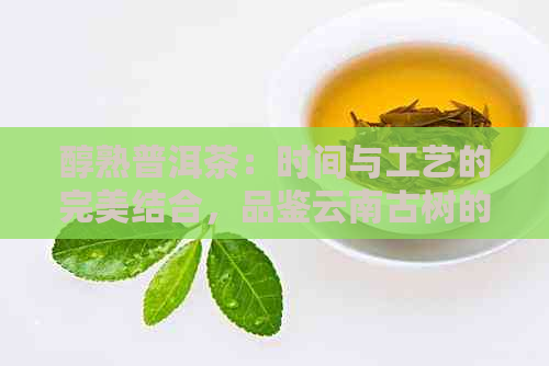 醇熟普洱茶：时间与工艺的完美结合，品鉴云南古树的独特魅力