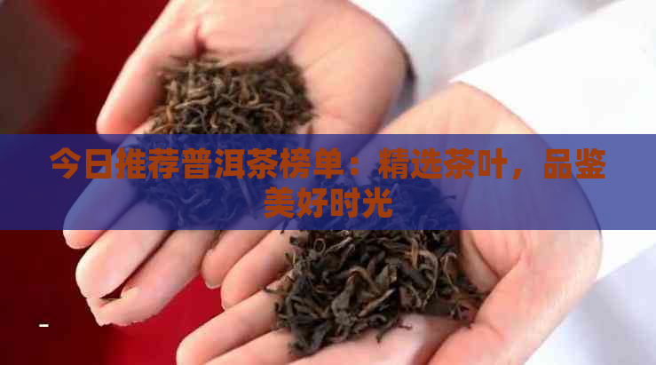 今日推荐普洱茶榜单：精选茶叶，品鉴美好时光