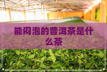 能闷泡的普洱茶是什么茶