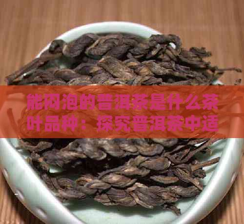 能闷泡的普洱茶是什么茶叶品种：探究普洱茶中适合闷泡的茶叶品种