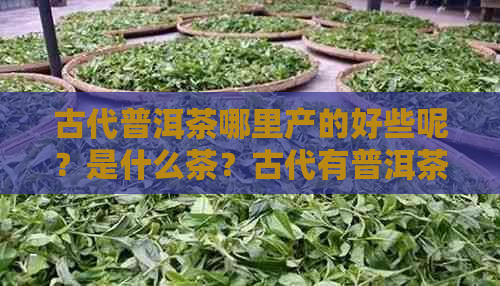 古代普洱茶哪里产的好些呢？是什么茶？古代有普洱茶吗？