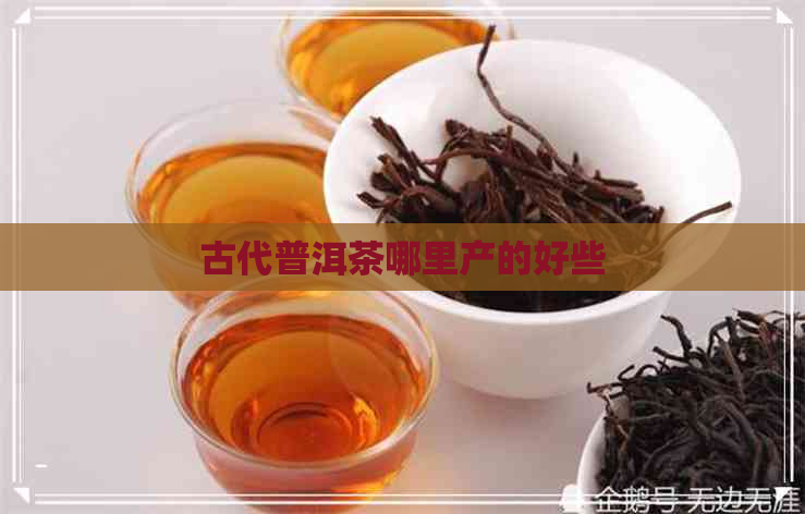 古代普洱茶哪里产的好些