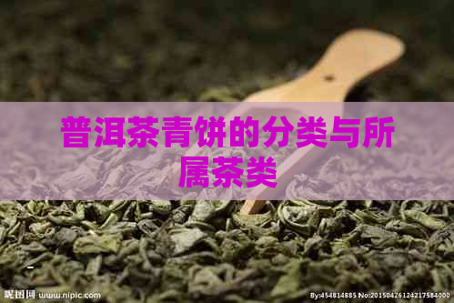 普洱茶青饼的分类与所属茶类