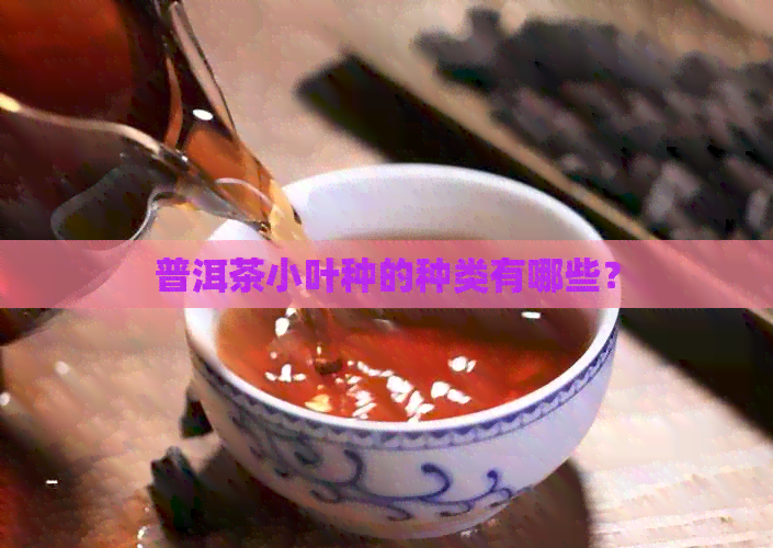 普洱茶小叶种的种类有哪些？