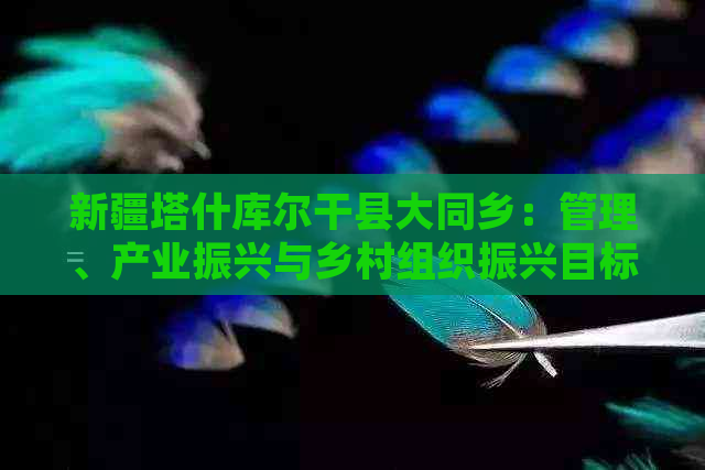 新疆塔什库尔干县大同乡：管理、产业振兴与乡村组织振兴目标及天气预报