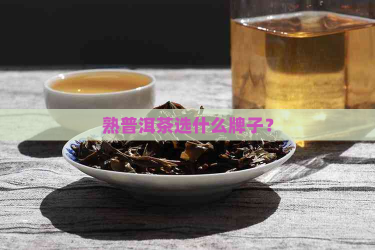 熟普洱茶选什么牌子？