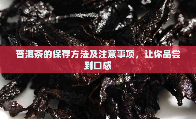 普洱茶的保存方法及注意事项，让你品尝到口感