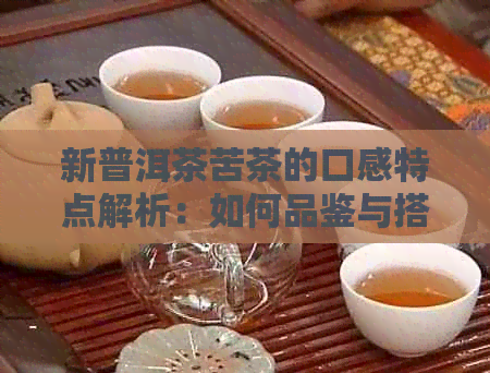 新普洱茶苦茶的口感特点解析：如何品鉴与搭配？