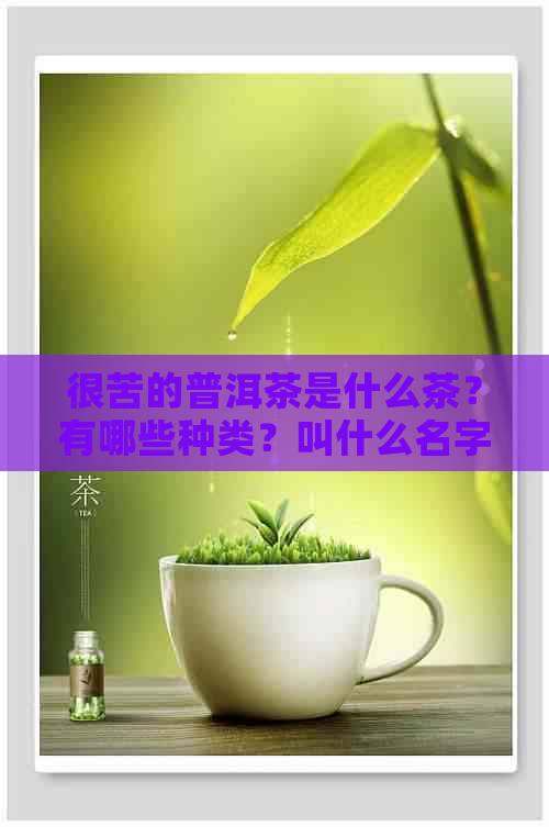 很苦的普洱茶是什么茶？有哪些种类？叫什么名字？能喝吗？特别苦的普洱茶。