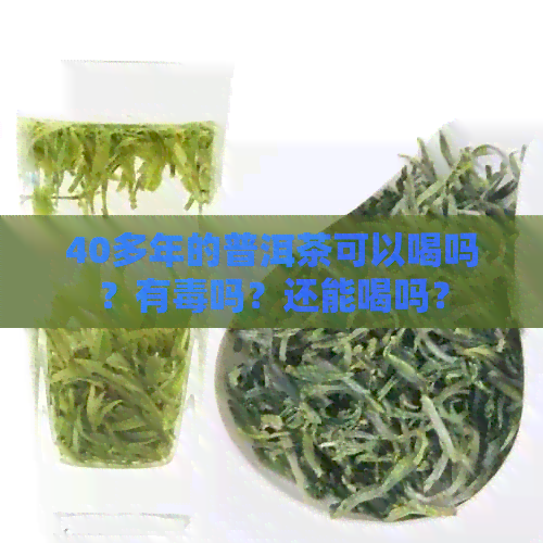 40多年的普洱茶可以喝吗？有吗？还能喝吗？