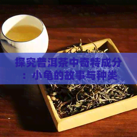 探究普洱茶中奇特成分：小龟的故事与种类