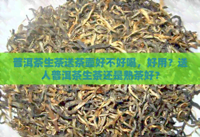 普洱茶生茶送茶壶好不好喝，好用？送人普洱茶生茶还是熟茶好？