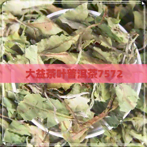 大益茶叶普洱茶7572