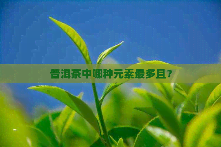 普洱茶中哪种元素最多且？